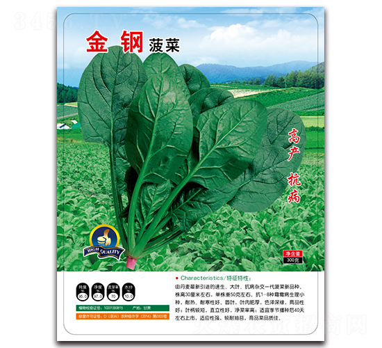 金鋼菠菜-菠菜種子-多美農(nóng)