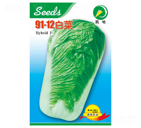 91-12-�ײ˷N��-�P���r(n��ng)�I(y��)