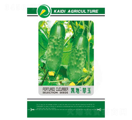 凱地翠玉-黃瓜種子-凱地農(nóng)業(yè)