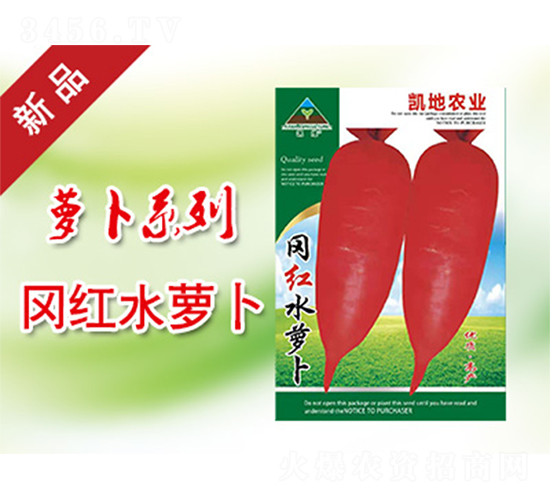 岡紅水蘿卜-蘿卜種子-凱地農(nóng)業(yè)
