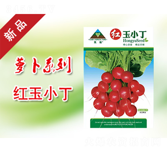 紅玉小丁-蘿卜種子-凱地農(nóng)業(yè)