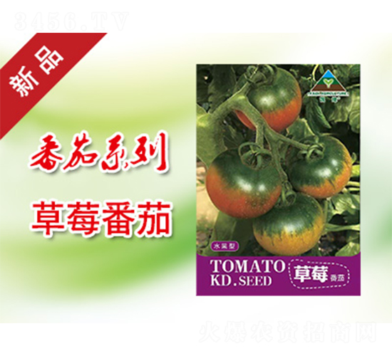 草莓番茄-番茄種子-凱地農(nóng)業(yè)