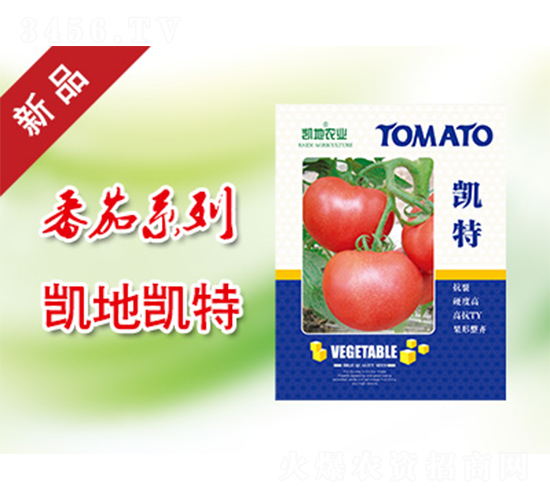 凱特-番茄種子-凱地農業(yè)