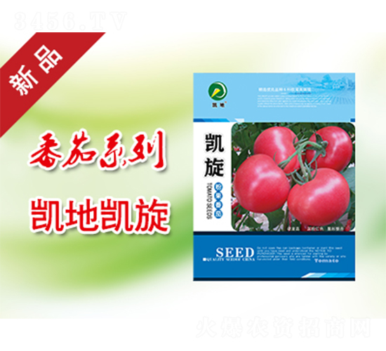 凱旋-番茄種子-凱地農業(yè)