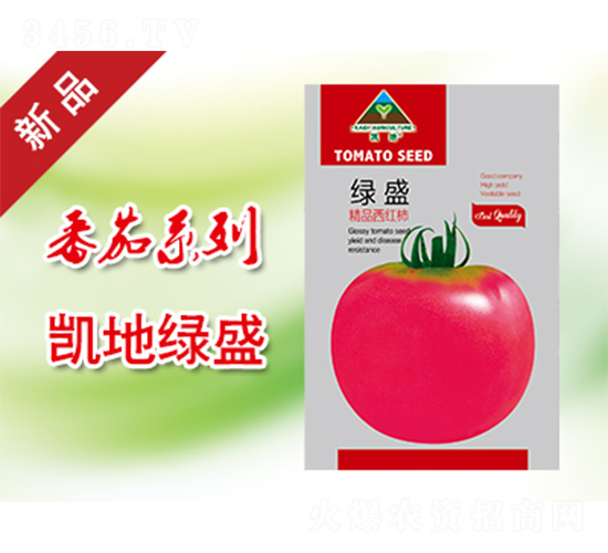 綠盛-番茄種子-凱地農(nóng)業(yè)
