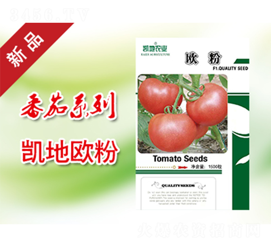 歐粉-番茄種子-凱地農(nóng)業(yè)