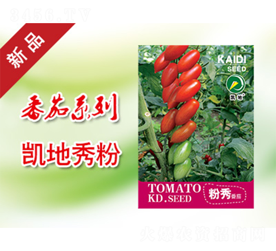 粉秀-番茄種子-凱地農(nóng)業(yè)
