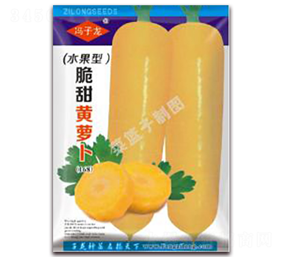 脆甜黃蘿卜-蘿卜種子-子龍種業(yè)