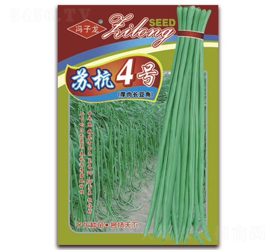 �K��4̖�����L����-���ǷN��-�����N�I(y��)