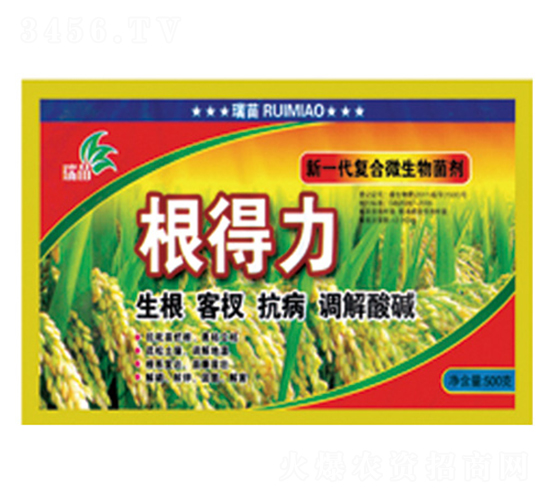 �ͺ�΢�������-������-����