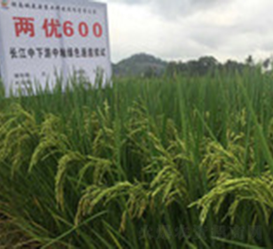 �Ƀ�(y��u)600-ˮ���N��-�һ�Դ