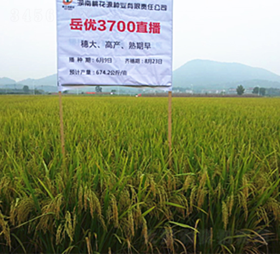 ����(y��u)3700-ˮ���N��-�һ�Դ