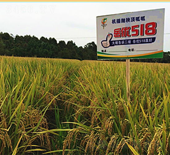 ����(y��u)518-ˮ���N��-�һ�Դ