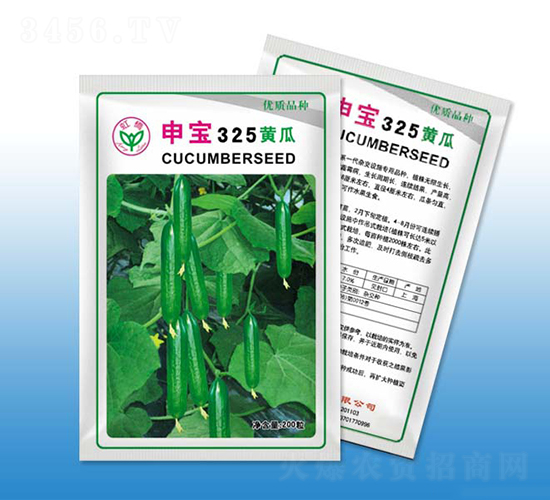 申寶325-黃瓜種子-天龍種業(yè)