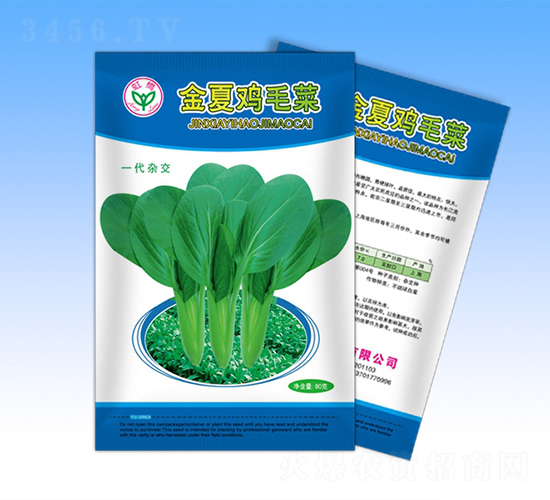 金夏雞毛菜-青梗菜種子-天龍種業(yè)