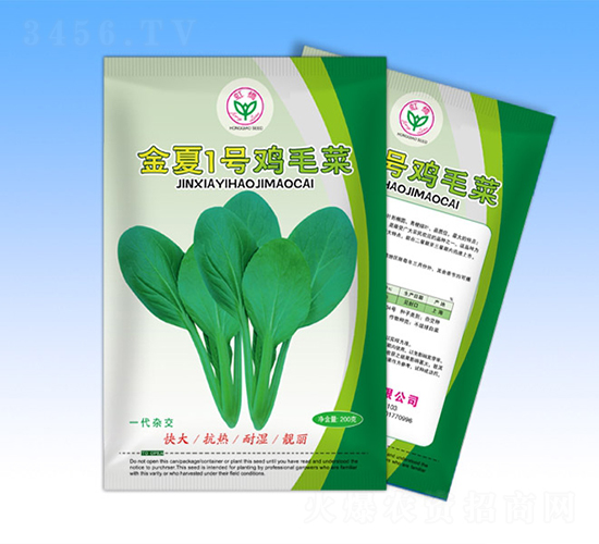金夏一號(hào)-青梗菜種子-天龍種業(yè)