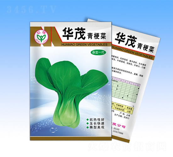 華茂-青梗菜種子-天龍種業(yè)