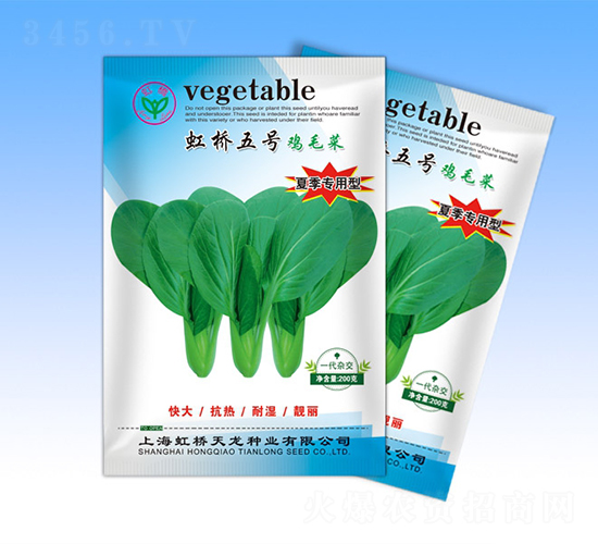 虹橋5號-青梗菜種子-天龍種業(yè)