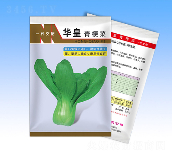 �A��-�๣�˷N��-�����N�I(y��)