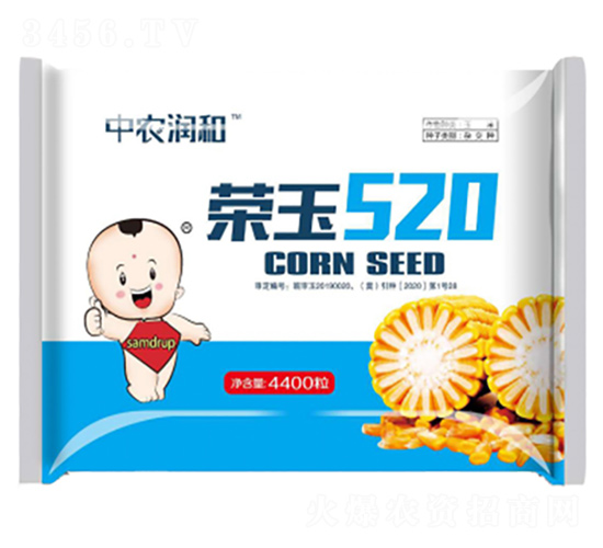 榮玉520-玉米種子-鑫大綠