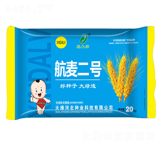 航麥2號(hào)-小麥種子-鑫大綠