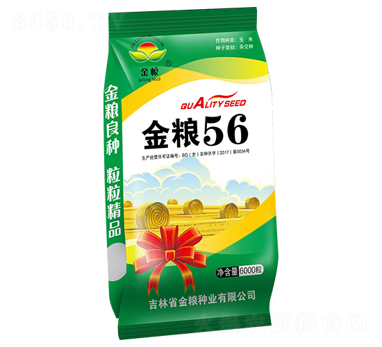 金糧56-玉米種子-金糧種業(yè)