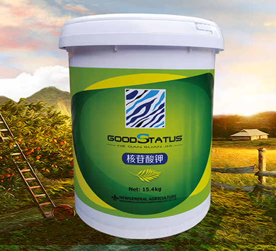 �������-�à�B(t��i)-�r(n��ng)��