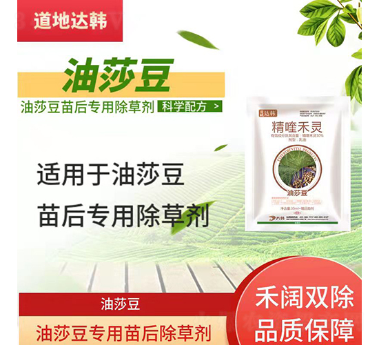 ��ɯ�����������݄�-�����_�n