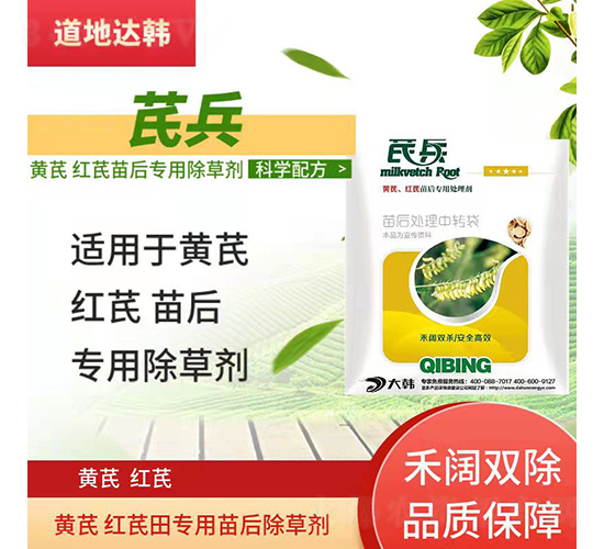 �S�μt�Ό��������݄�-�α�-�����_�n