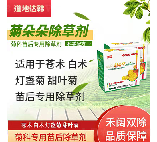 蒼術(shù)白術(shù)燈盞菊甜葉菊專用除草劑-菊朵朵-道地達韓