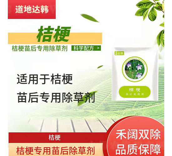 �۹���(zhu��n)�������݄�-�����_(d��)�n