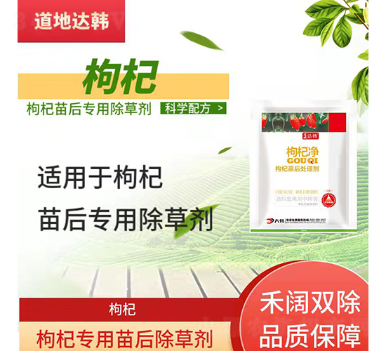 ��轌��������݄�-�����_(d��)�n