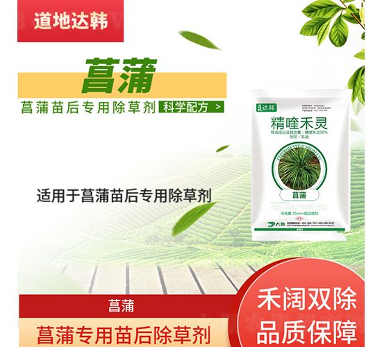 ���ь��������݄�-�����_�n