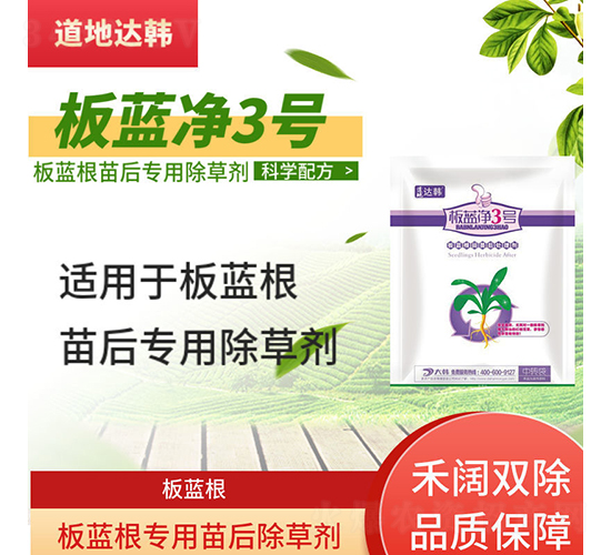 ���{(l��n)�����������݄�-���{(l��n)��3̖-�����_(d��)�n