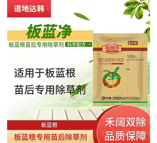 ���{(l��n)�����������݄�-���{(l��n)��-�����_(d��)�n