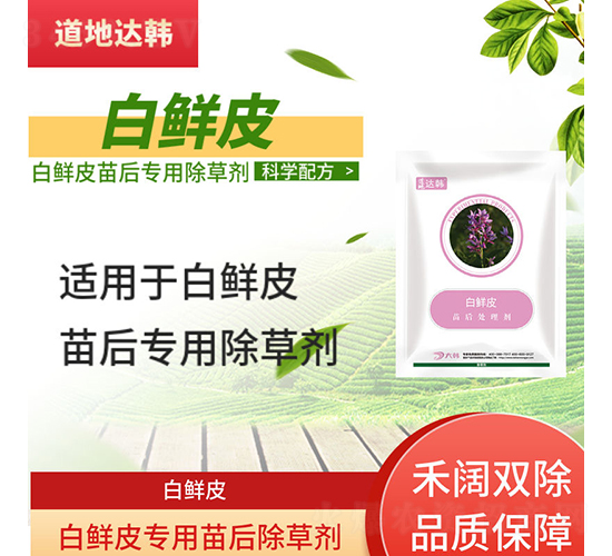 ���rƤ���������݄�-�����_�n