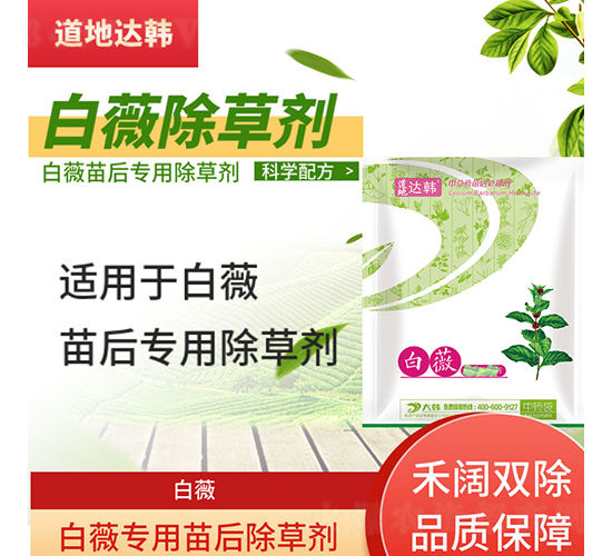 ��ޱ���������݄�-�����_�n