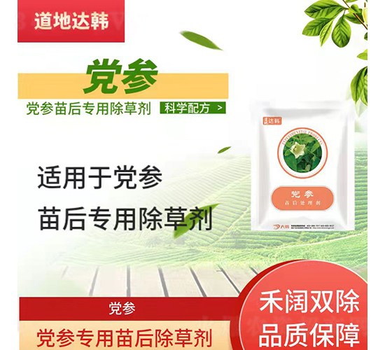 �h����(zhu��n)�������݄�-�����_(d��)�n