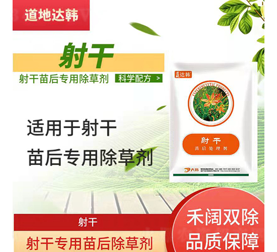 ��Ɍ��������݄�-�����_(d��)�n