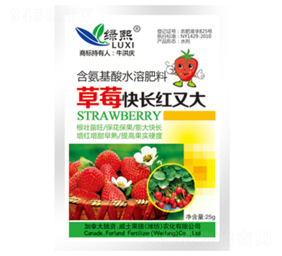 ��ݮ���L�t�ִ�-�G��-��ʿ�R��