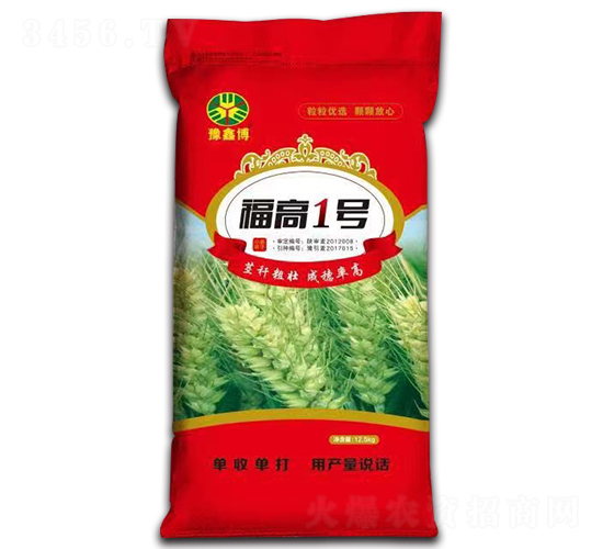 福高1號(hào)-小麥種子-福豐