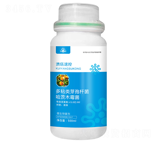 �����ٿ�-��p�p-�������