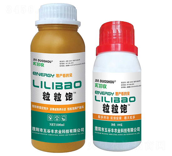 �����-�Ҷ���-����S