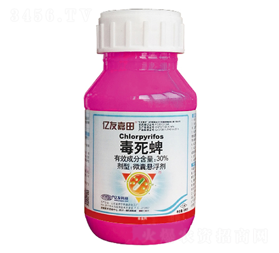 �|�Ѽ���-30%������΢�z�һ����������������N�����tɫ1+1+1��