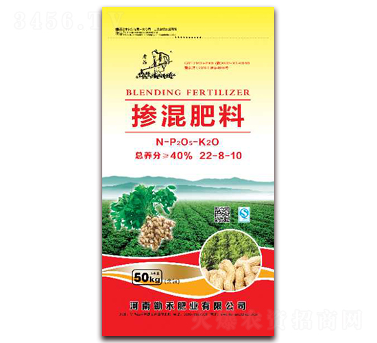 �������22-8-10-�����R-�z�̷ʘI(y��)