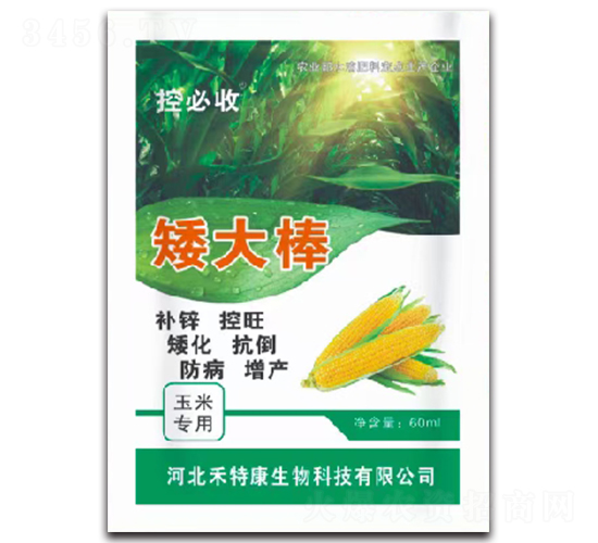 ���׌��ð����-�ر���-���ؿ�