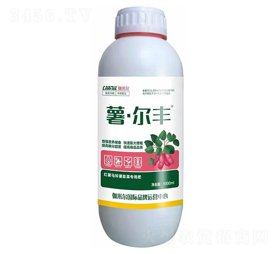 �t���R���������÷�-�������S-ľ�̼ь�