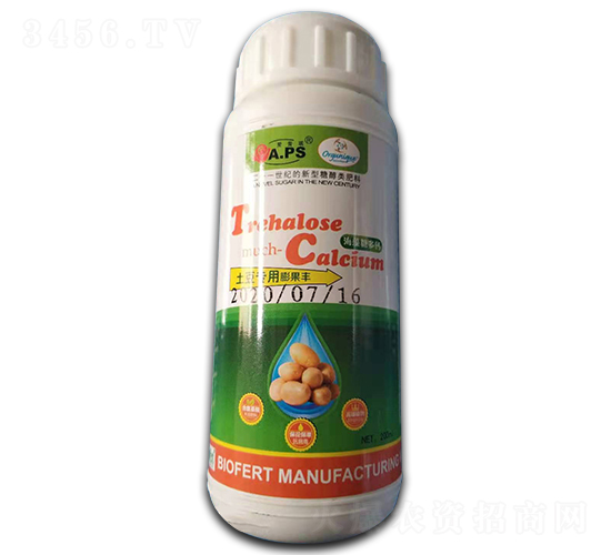 �����Ƕ��}���������I(y��)����S��-������