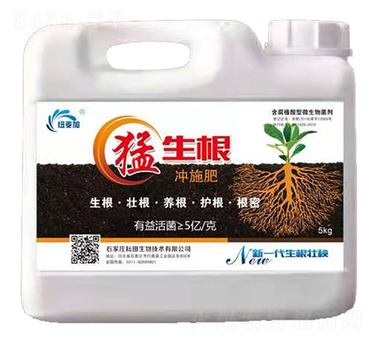 �������_ʩ��-�~����-��������