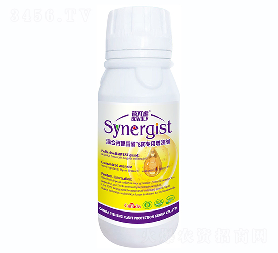 ��ϰ�������w��������Ч��-��أ�]-��ֲ���A